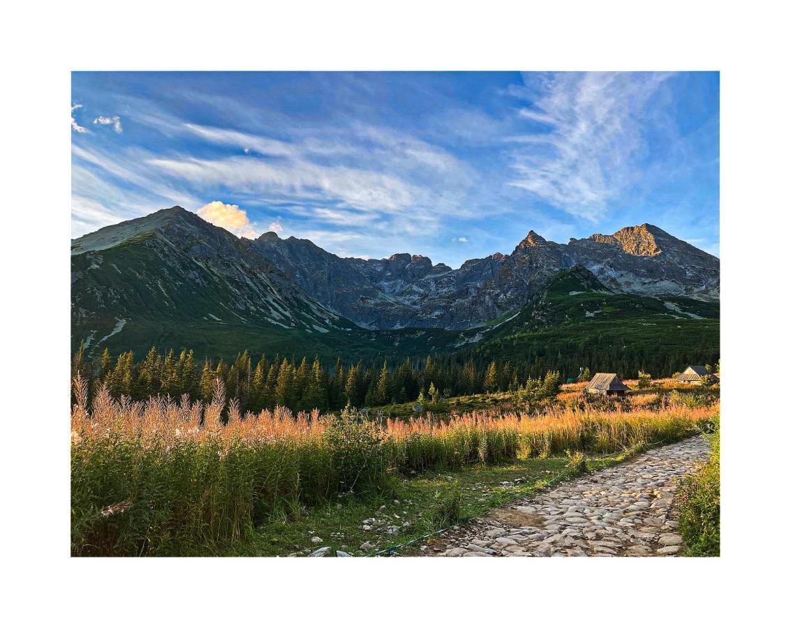 Willa Danielka Zakopane Buitenkant foto