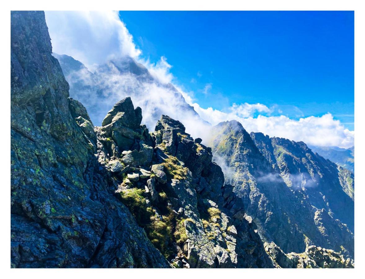 Willa Danielka Zakopane Buitenkant foto